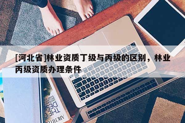[河北省]林業(yè)資質(zhì)丁級(jí)與丙級(jí)的區(qū)別，林業(yè)丙級(jí)資質(zhì)辦理?xiàng)l件