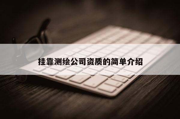 掛靠測繪公司資質(zhì)的簡單介紹
