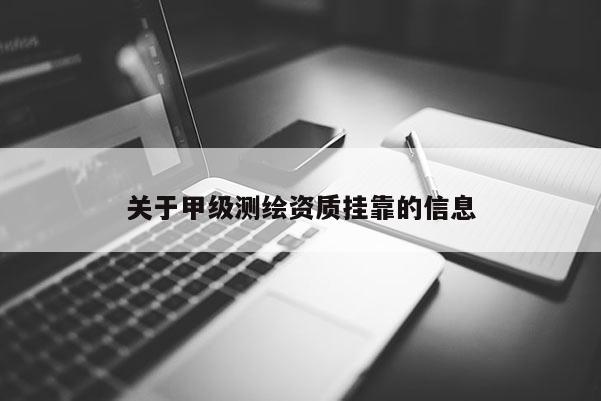 關于甲級測繪資質掛靠的信息