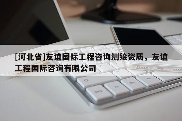 [河北省]友誼國際工程咨詢測(cè)繪資質(zhì)，友誼工程國際咨詢有限公司
