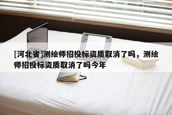 [河北省]測繪師招投標(biāo)資質(zhì)取消了嗎，測繪師招投標(biāo)資質(zhì)取消了嗎今年