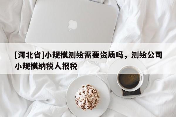 [河北省]小規(guī)模測繪需要資質嗎，測繪公司小規(guī)模納稅人報稅