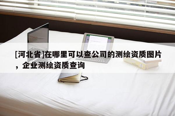 [河北省]在哪里可以查公司的測(cè)繪資質(zhì)圖片，企業(yè)測(cè)繪資質(zhì)查詢(xún)