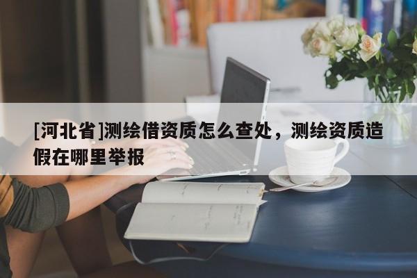[河北省]測(cè)繪借資質(zhì)怎么查處，測(cè)繪資質(zhì)造假在哪里舉報(bào)